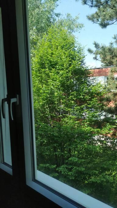 Apartmán 15 Min Zum Zentrum Vídeň Exteriér fotografie
